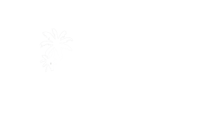 MIAMI LOGOS